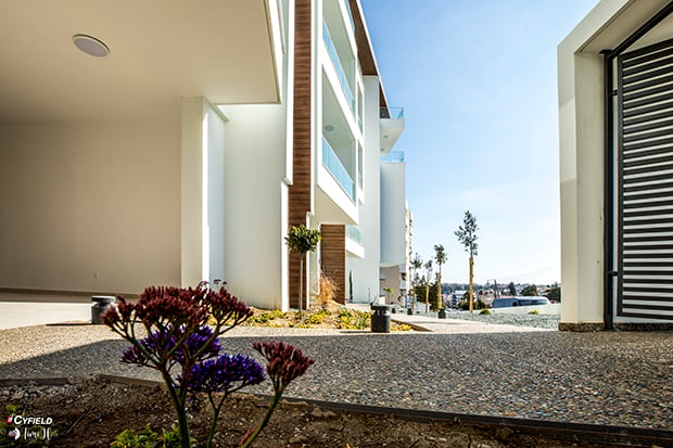 Apollo Heights